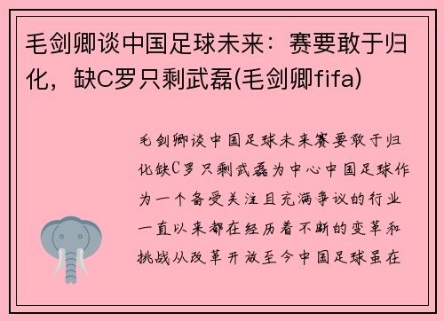 毛剑卿谈中国足球未来：赛要敢于归化，缺C罗只剩武磊(毛剑卿fifa)